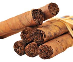 tobacco_PNG12-removebg-preview